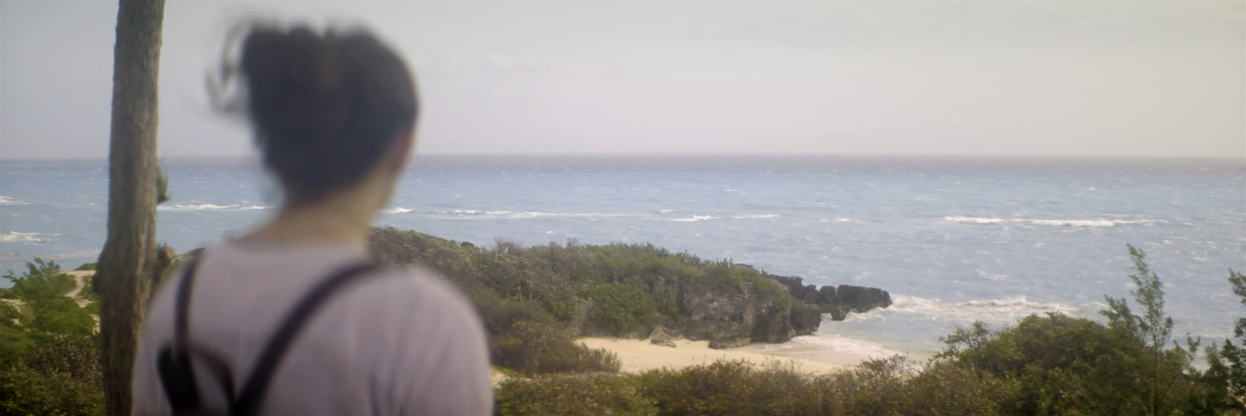 Horseshoe Bay Beach - Warwick Parish, Bermuda. Here the distortion of the lens is evident at the horizon. The personality this shot has beats-out a thousand boring straight horizons on boring ass spherical lenses. Wide open here again at an f2.5. | Lomo 50mm square front anamorphic | Keith Nickoson