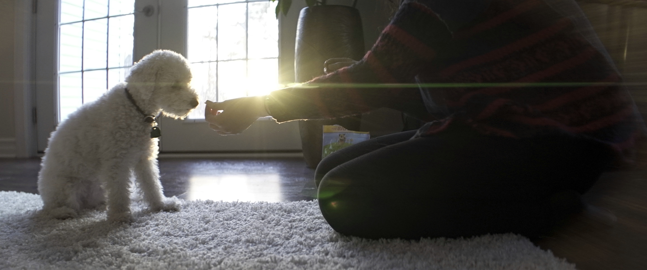 Elite 24.5mm anamorphic | Lens flare created by the setting sun. Some cool glare can be seen frame right here too. Image edge-cropped and displayed at 2.40:1 aspect ratio. Photo by Keith Nickoson.