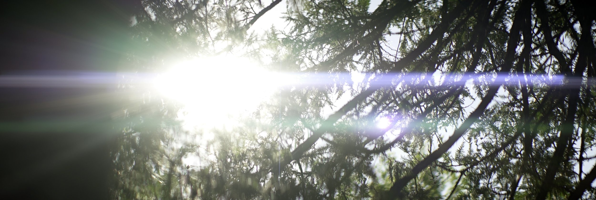 Lomo 100mm anamorphic lens | Sun-flare through some trees at the north end of Mackinac Island, MI. Photo by: Keith Nickoson
