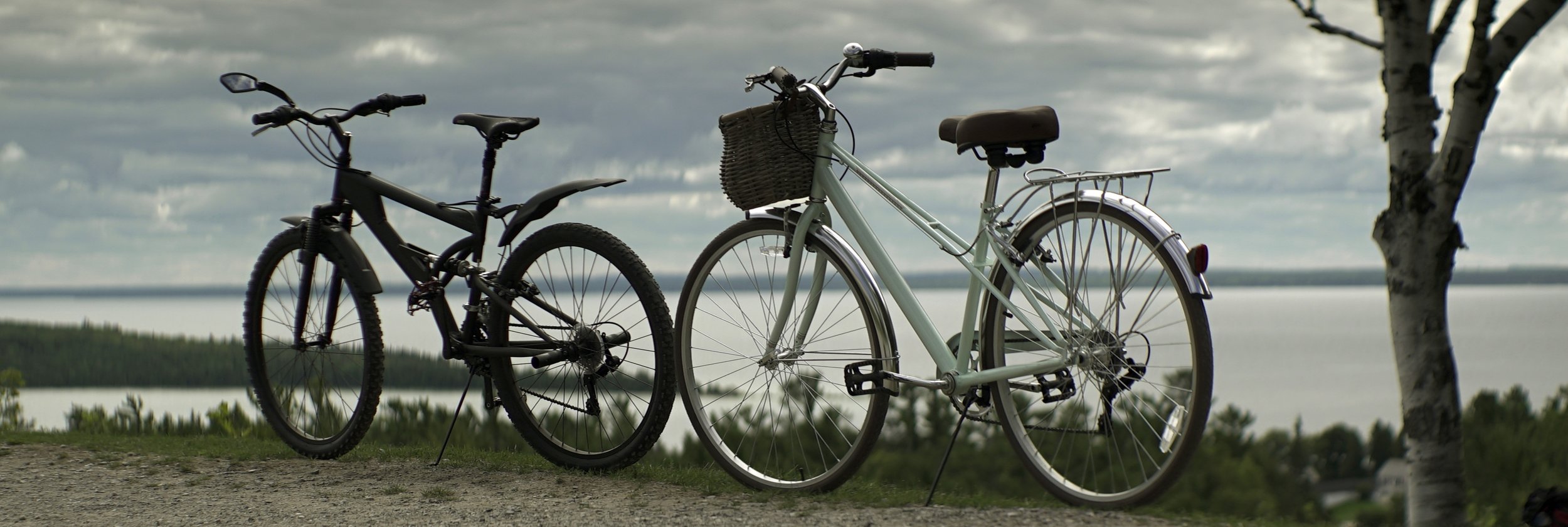 Lomo 100mm anamorphic lens | Motor vehicles have been banned from the island for a hundred years. This was our mode of transportation. Picture taken at Fort Homes - Mackinac Island, MI. Photo by: Keith Nickoson