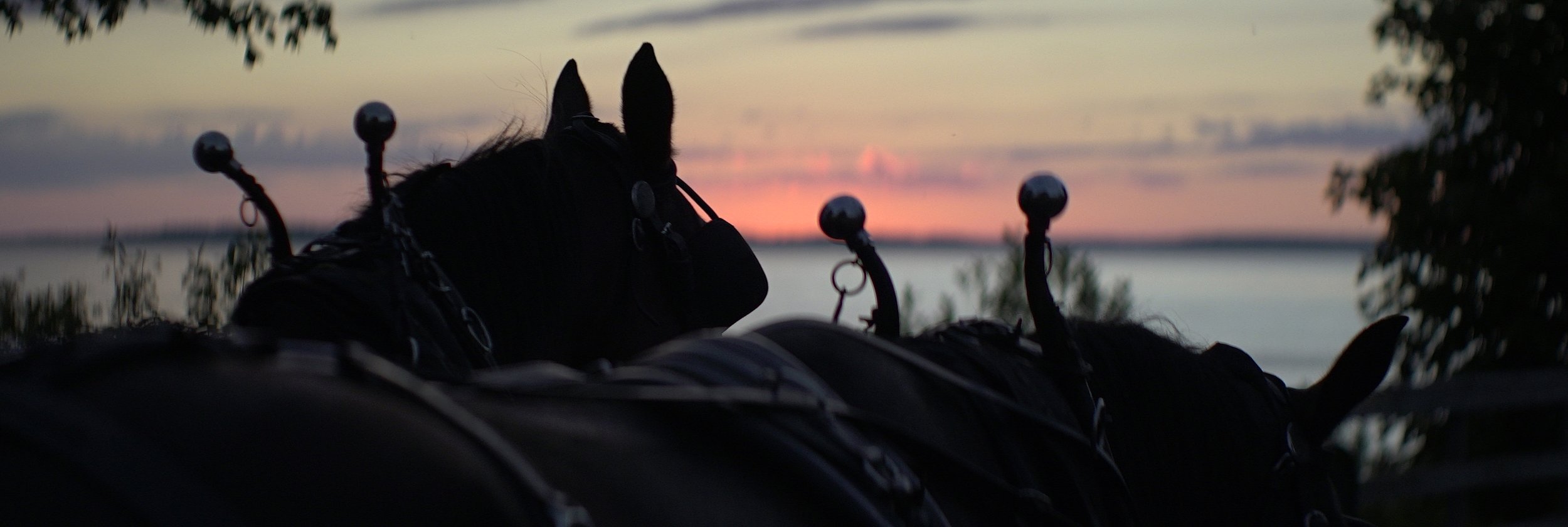 Lomo 100mm anamorphic lens | Mackinac Island, MI - Photo by: Keith Nickoson
