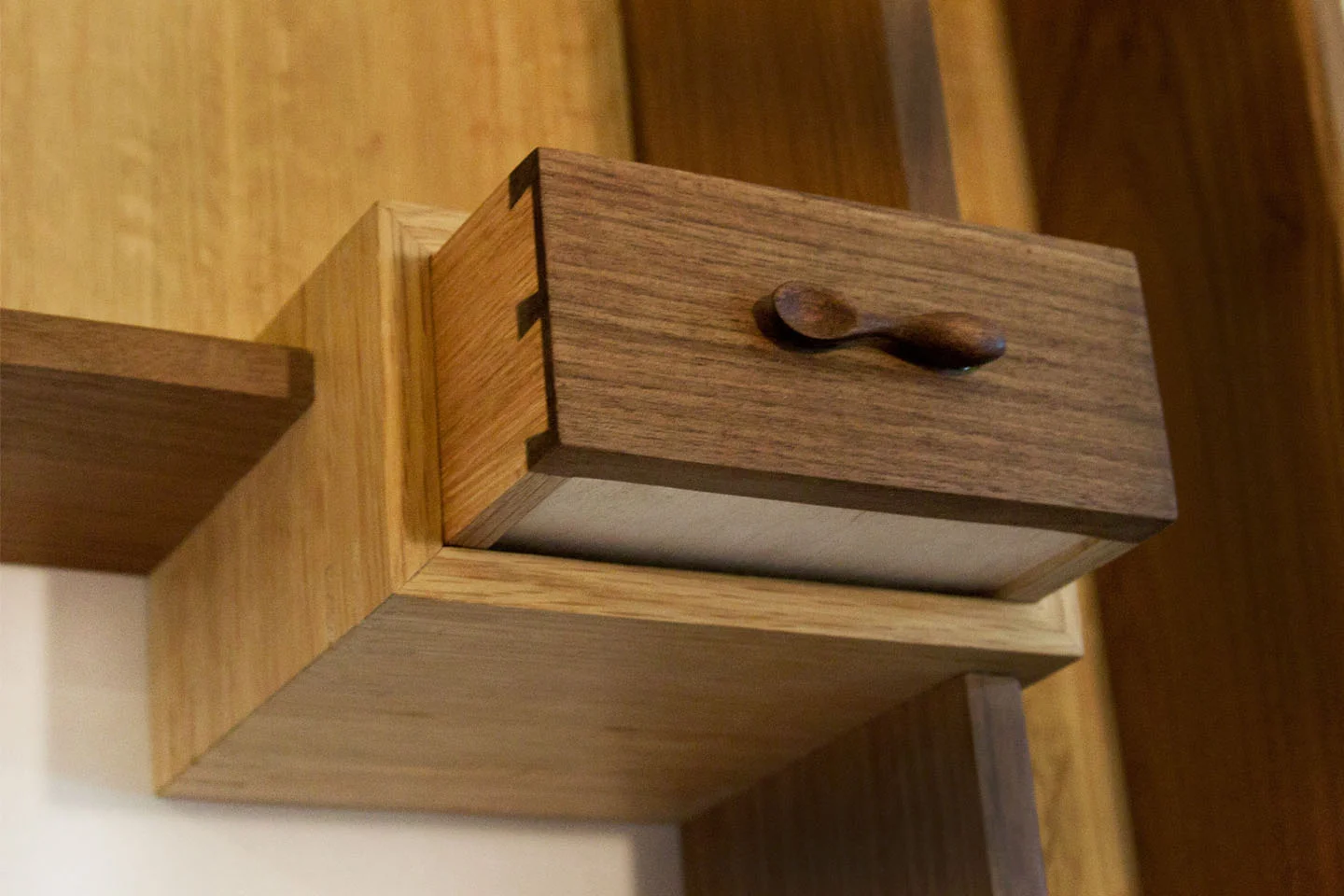 Contained Chaos Kitchen Cabinet (detail)