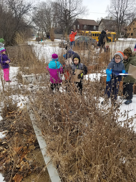 kindergarten garden.jpg
