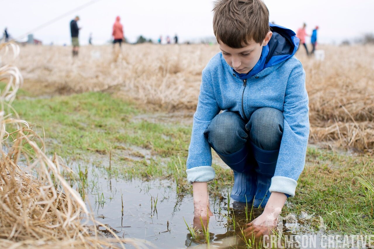 tree planting 5.jpg