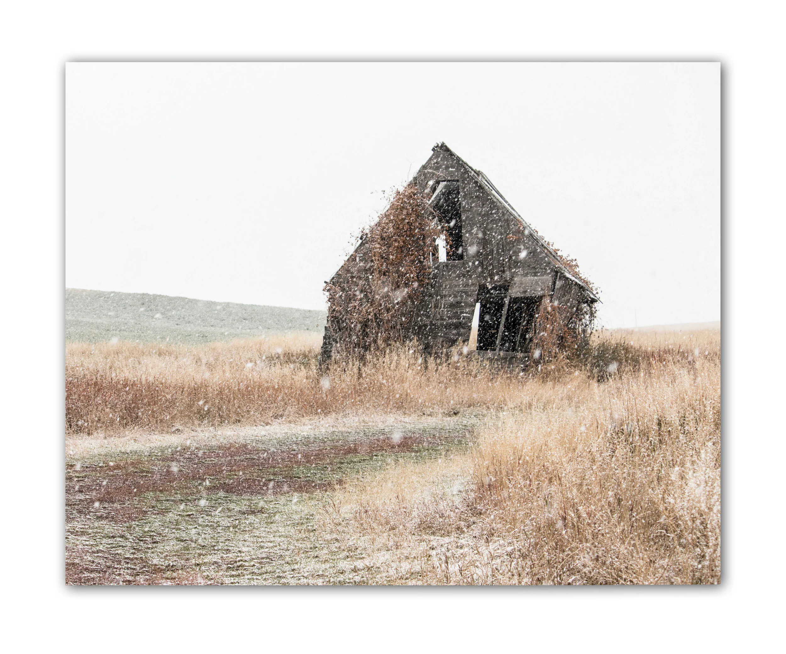 barn in snow 2 of 2.jpg