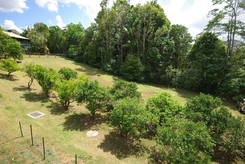 Our block in Bangalow with established citrus orchard. Now it just needs a house
