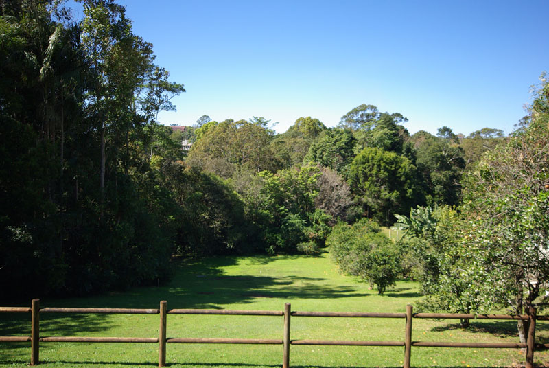 Our block with rainforest on the left