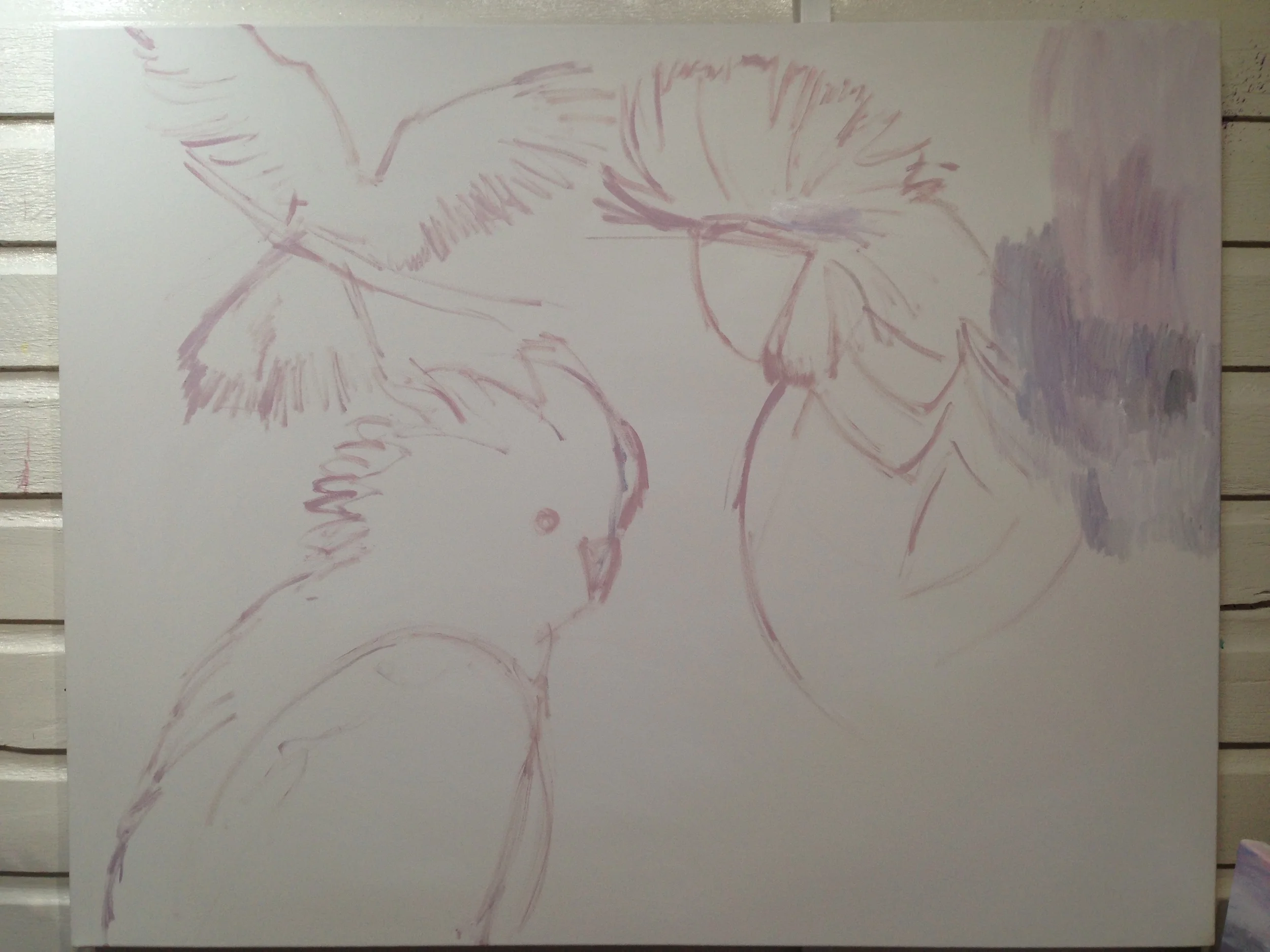 The preliminary outlines