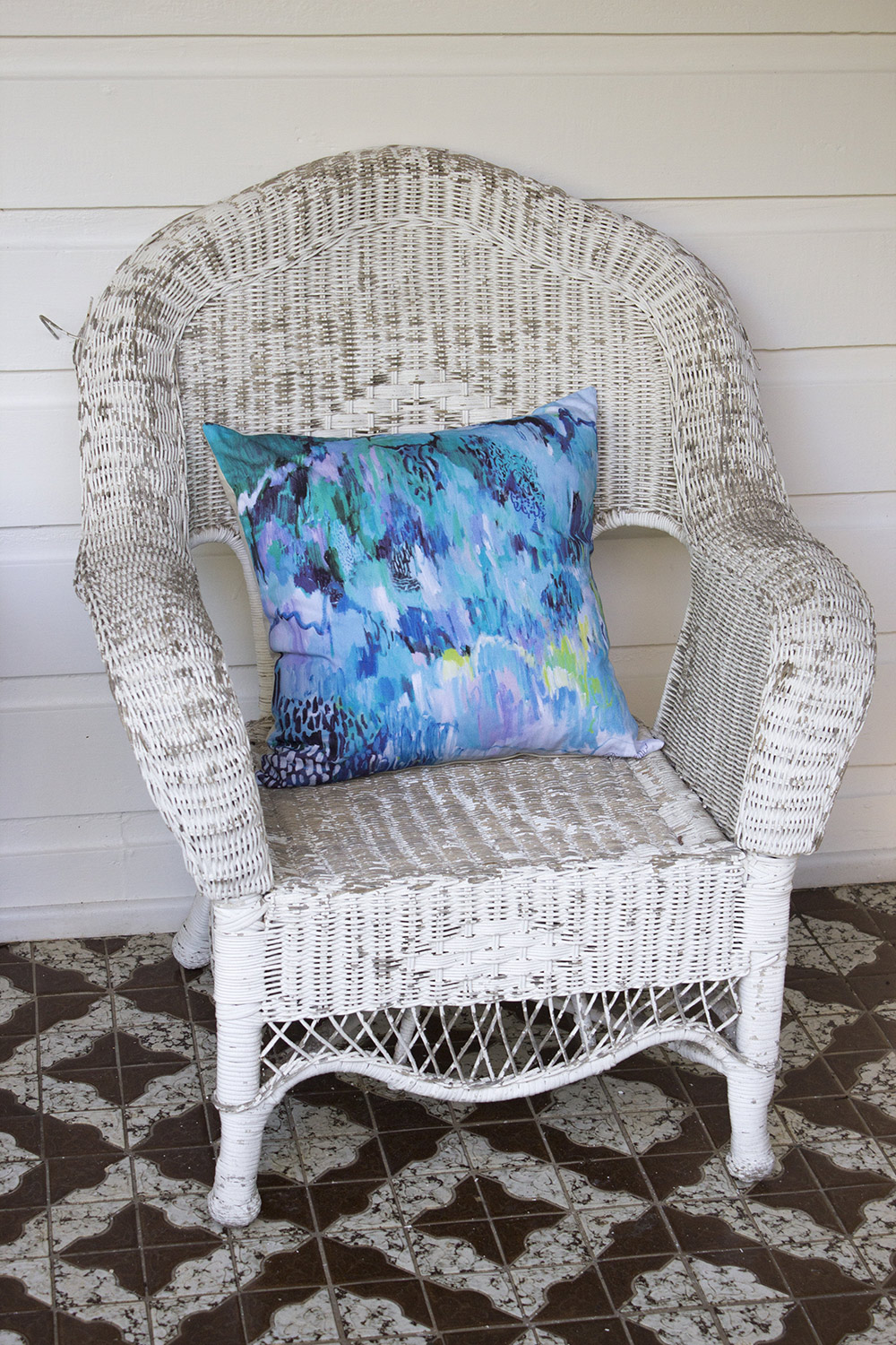 Treasures Cushion
