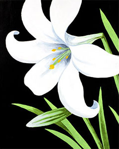 185_16x20_lily