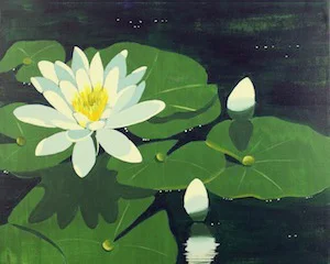 279_16x20_waterlily