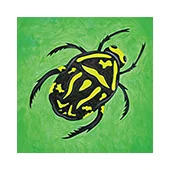 Beetle Bug