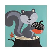 Grey squirrel