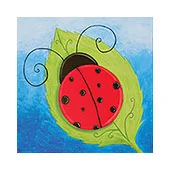 Ladybug