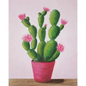 cactus_in_bloom_170.jpg