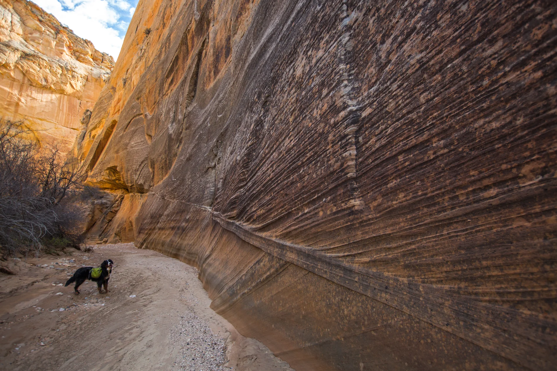 Round Valley Draw to Hackberry Canyon