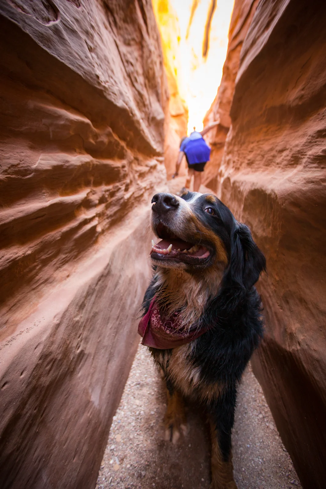 Little Wild Horse Canyon