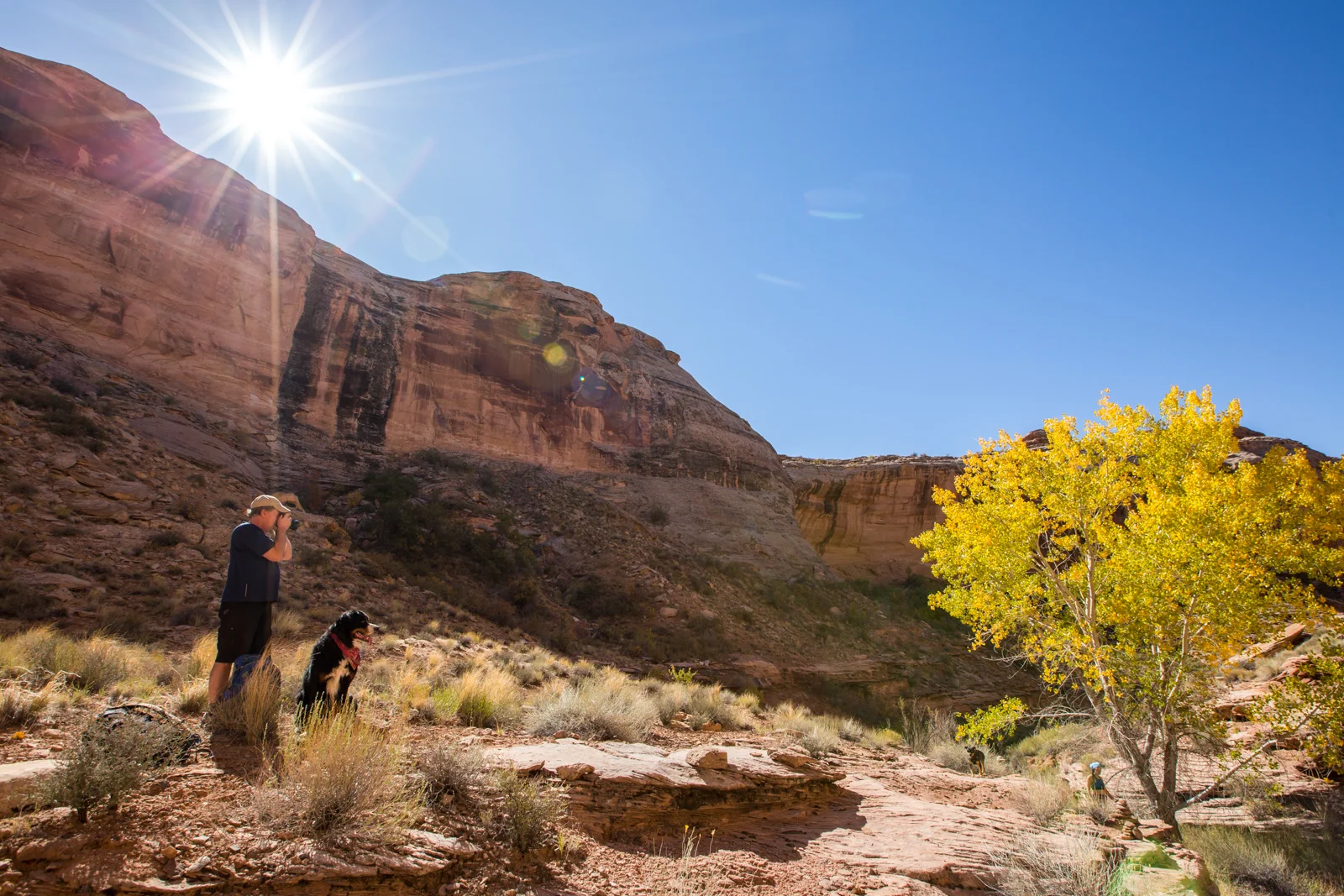 Labyrinth Canyon