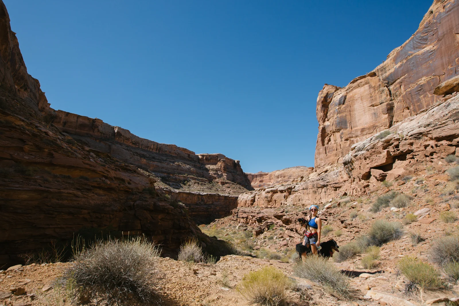 Labyrinth Canyon