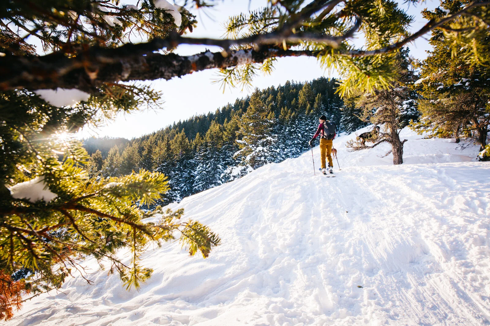 2020_Smartwool_SeanRyan-8757.jpg