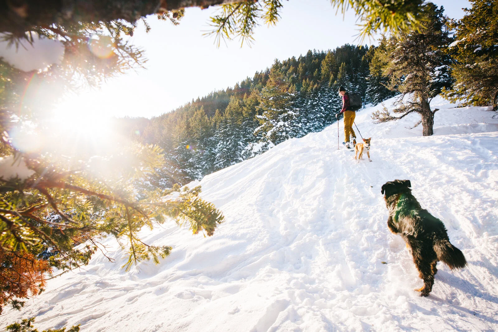 2020_Smartwool_SeanRyan-8764.jpg