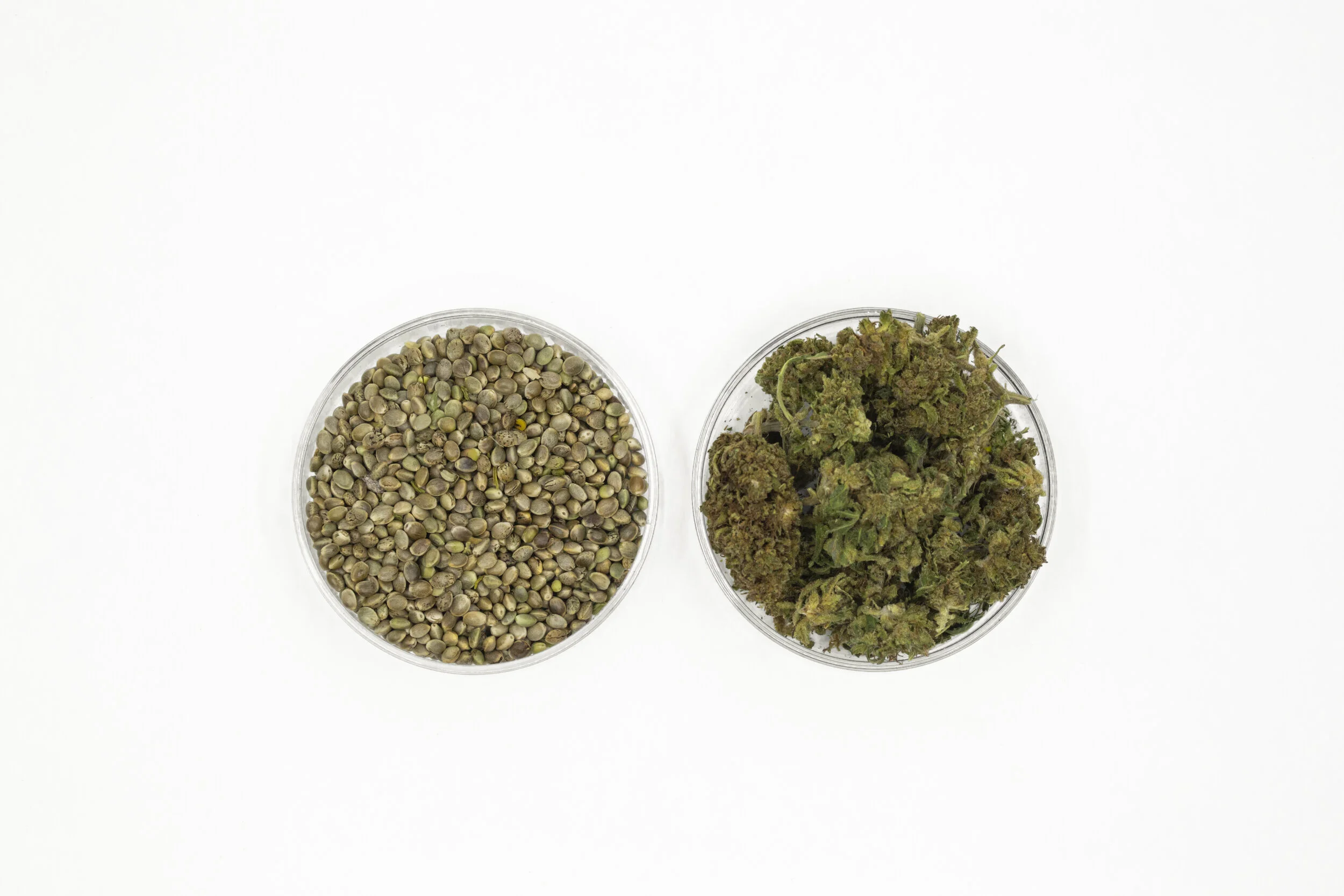 KND20_Product_SeanRyan-809A8367.jpg