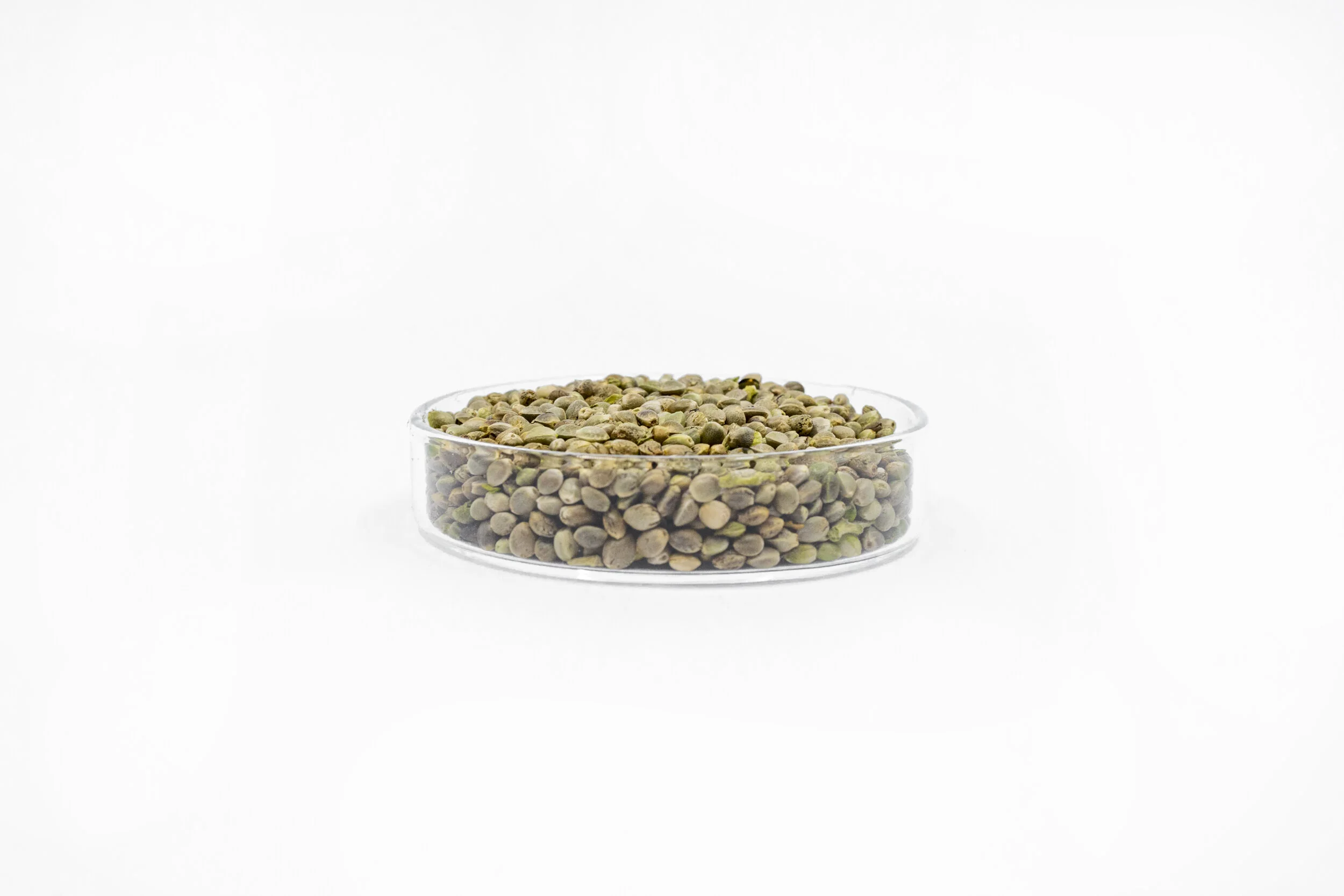 KND20_Product_SeanRyan-7463.jpg