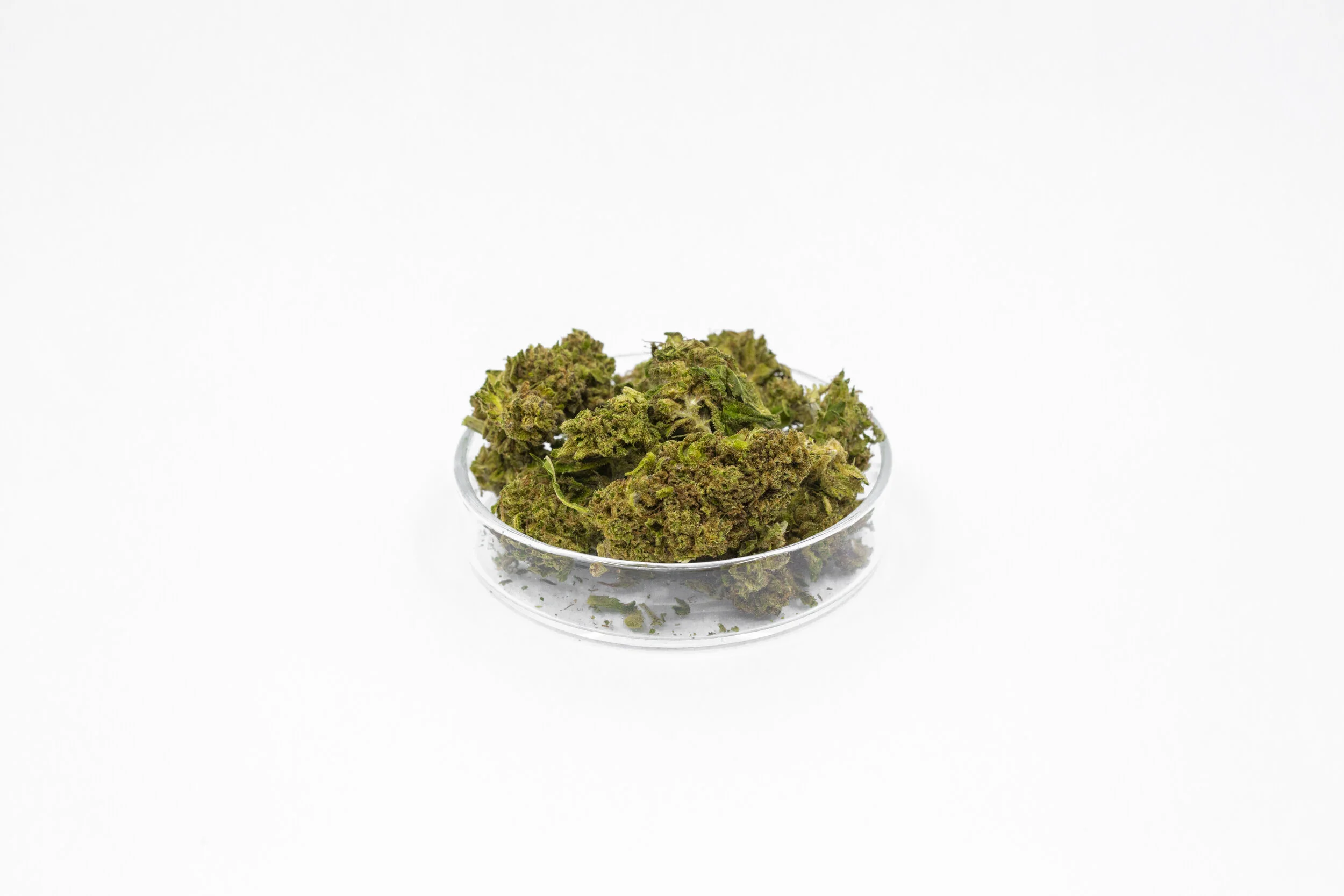 KND20_Product_SeanRyan-7522.jpg