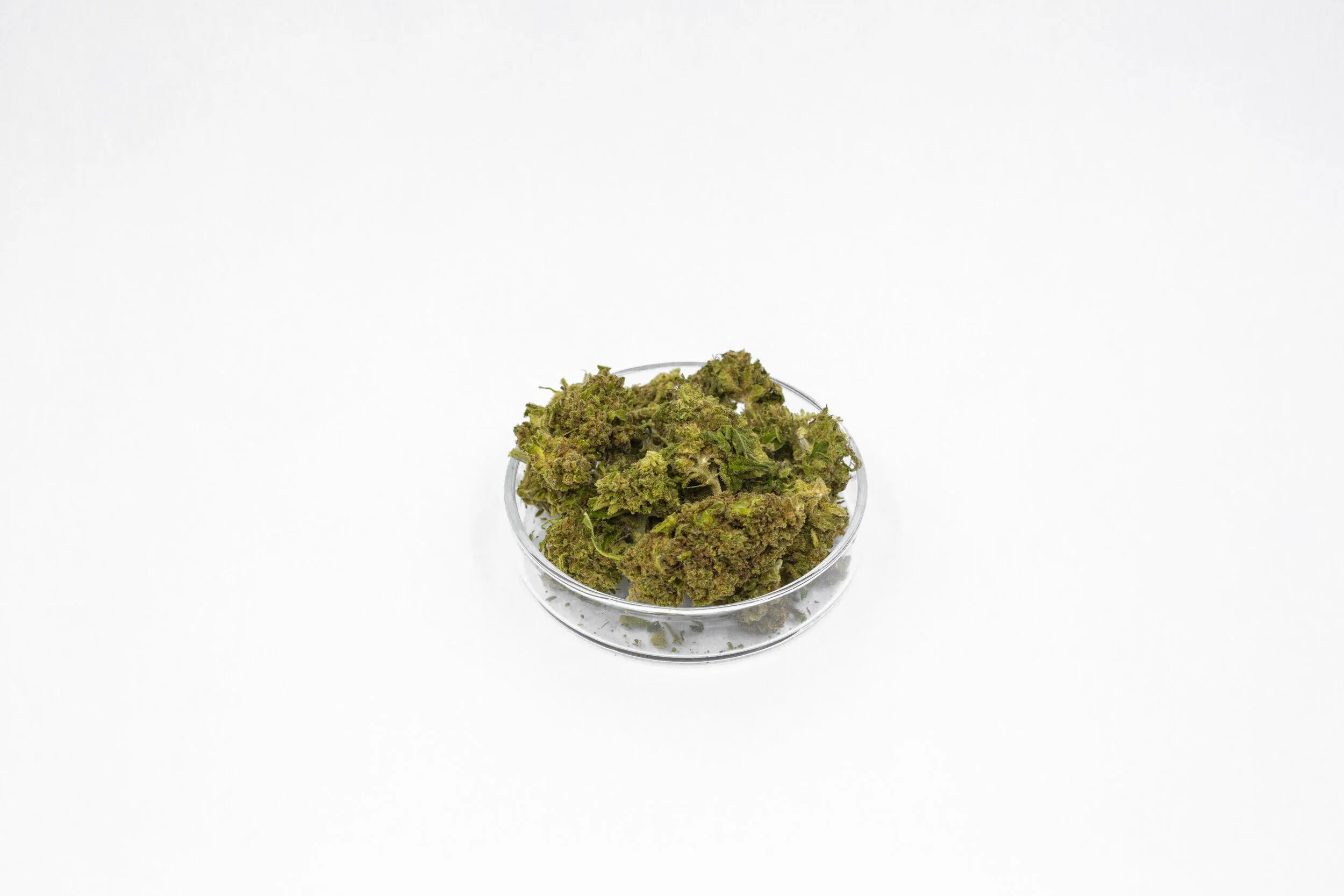 KND20_Product_SeanRyan-7525.jpg