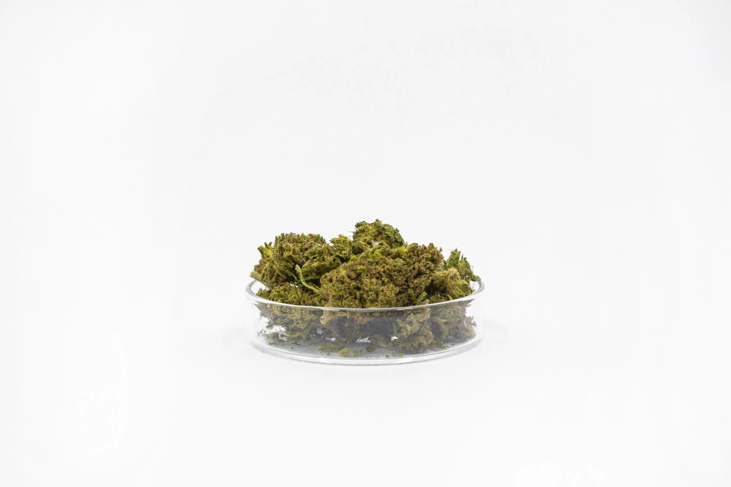 KND20_Product_SeanRyan-7528.jpg