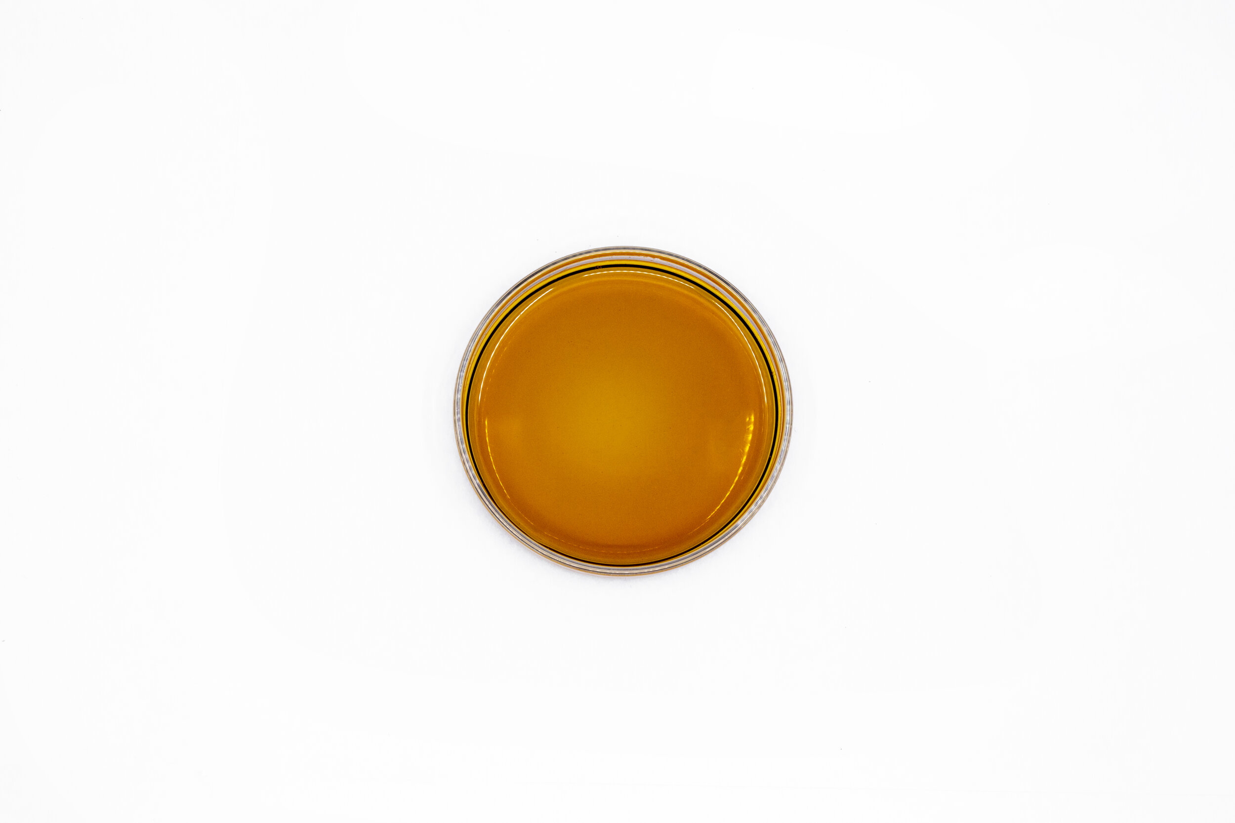 KND20_Product_SeanRyan-7890.jpg