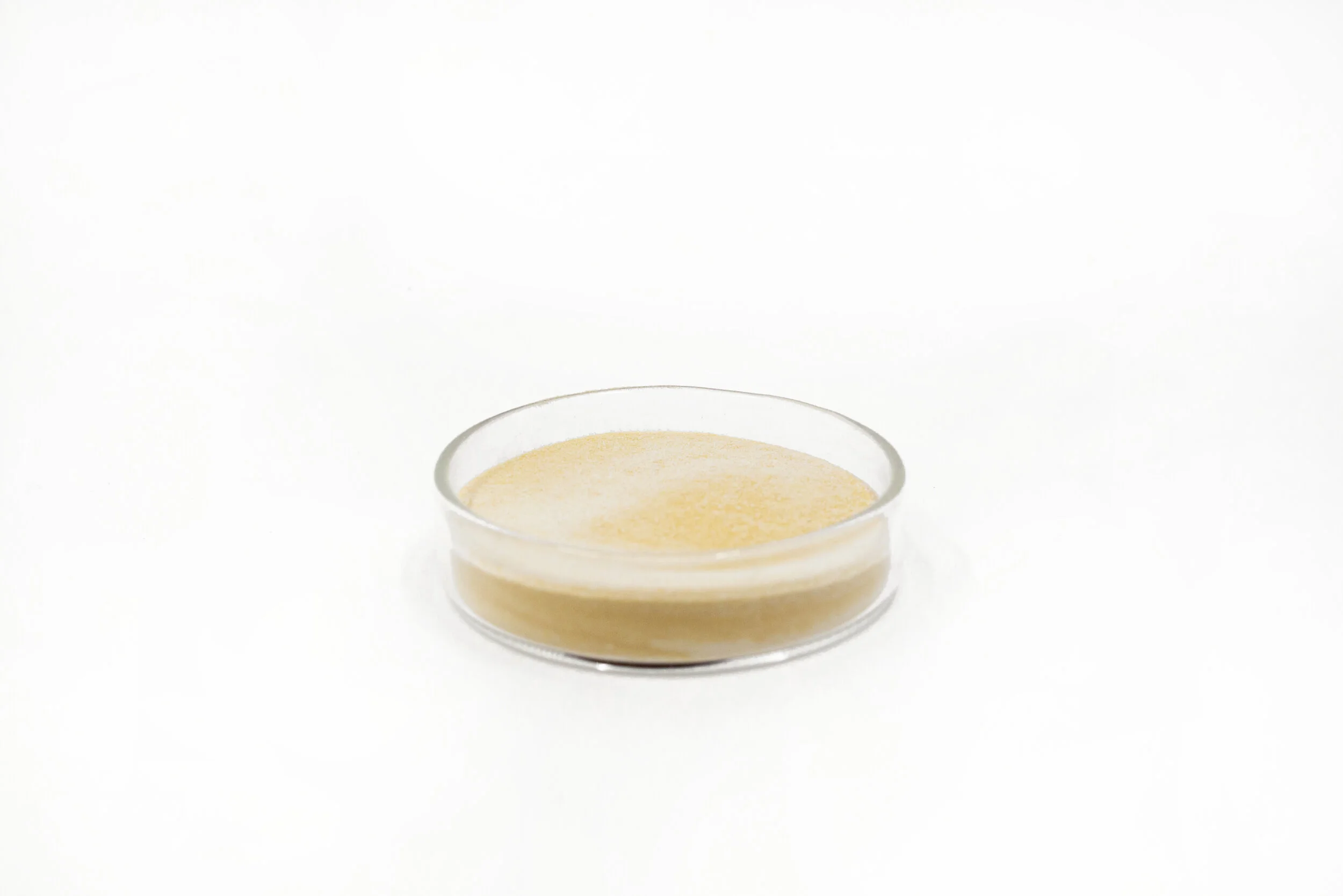 KND20_Product_SeanRyan-7909.jpg