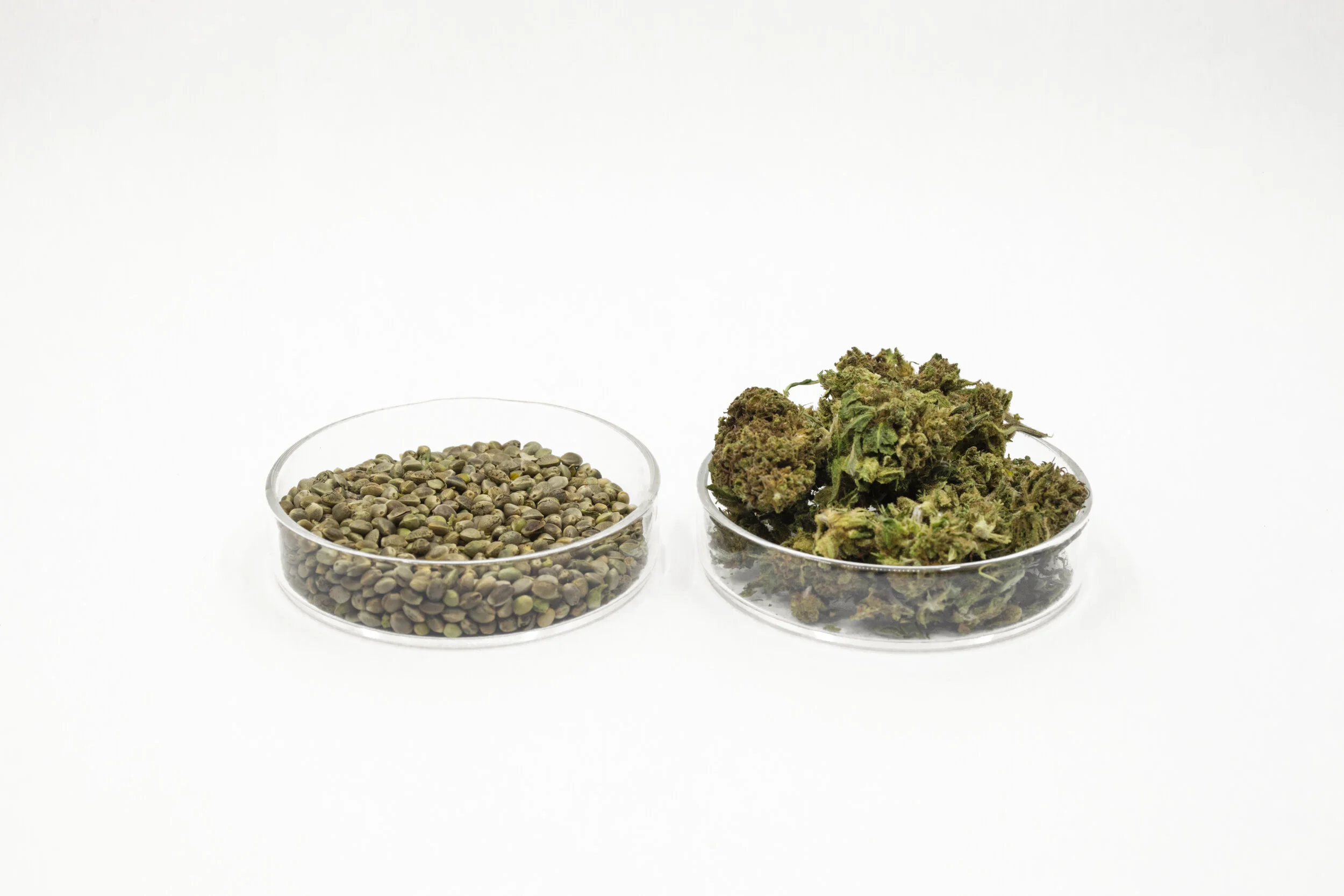 KND20_Product_SeanRyan-8167.jpg