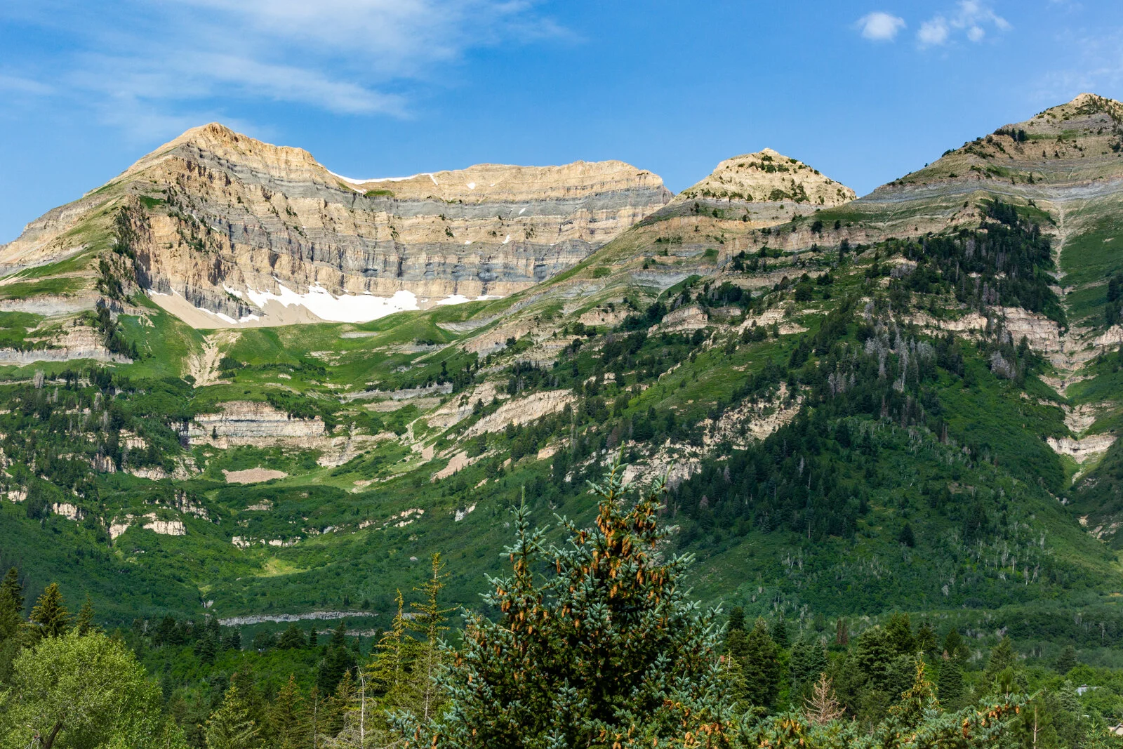 2020_SkiUtah_Sundance_SeanRyan-0395.jpg
