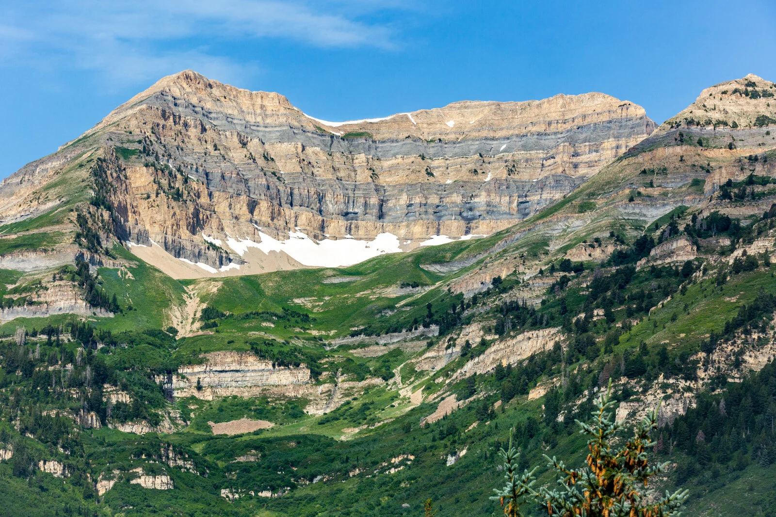 2020_SkiUtah_Sundance_SeanRyan-0400.jpg