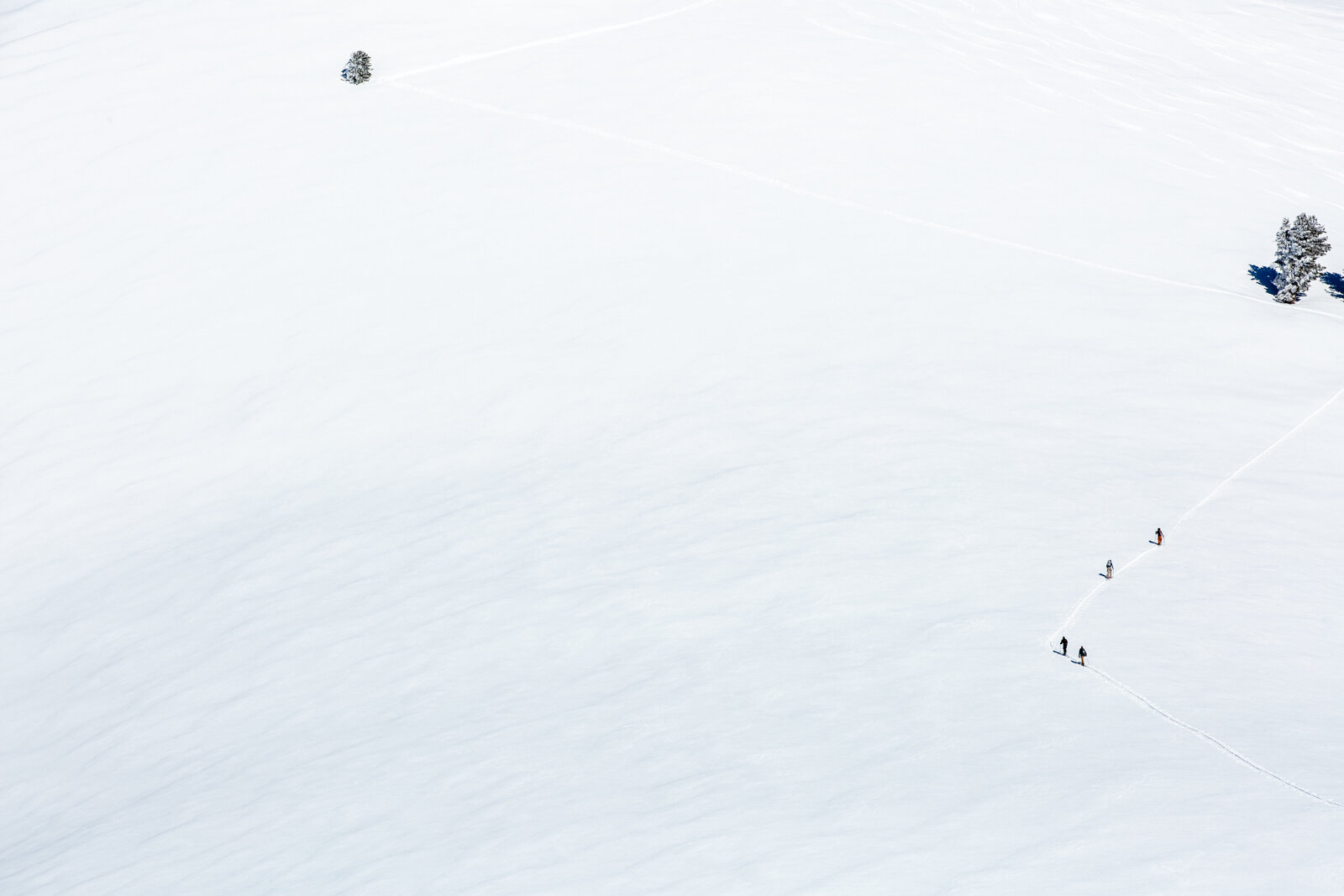 2019_PioneerYurt_SeanRyan-1396.jpg