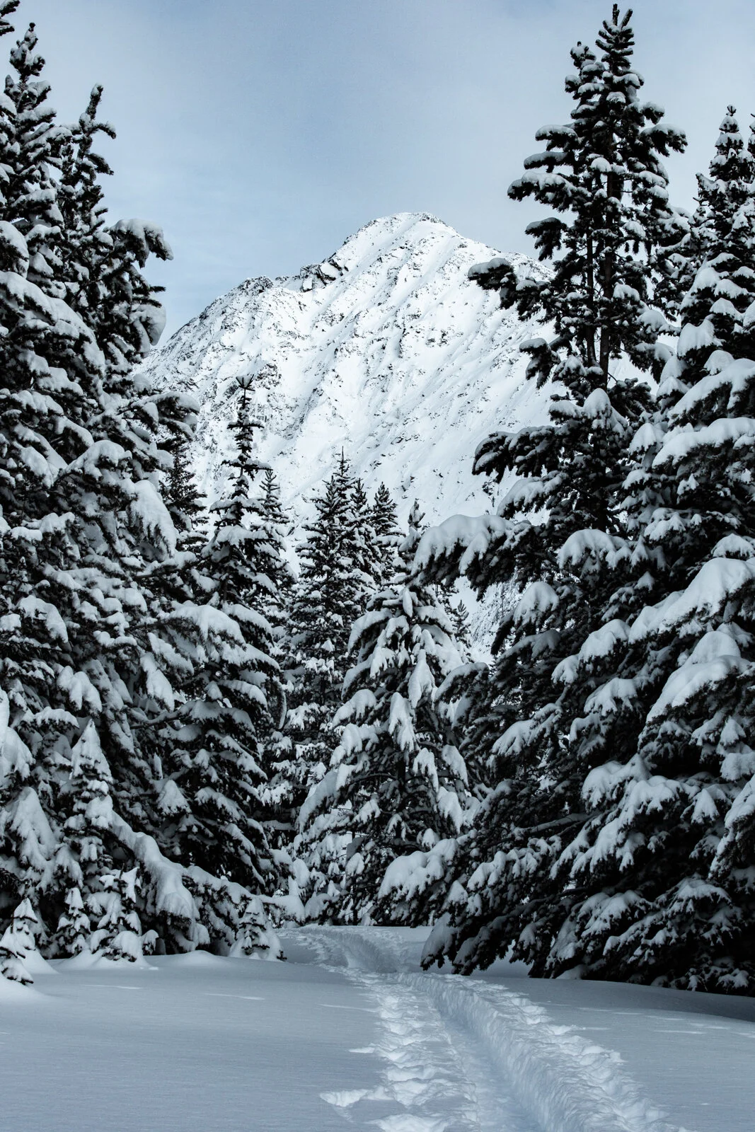 2019_PioneerYurt_SeanRyan-0459.jpg