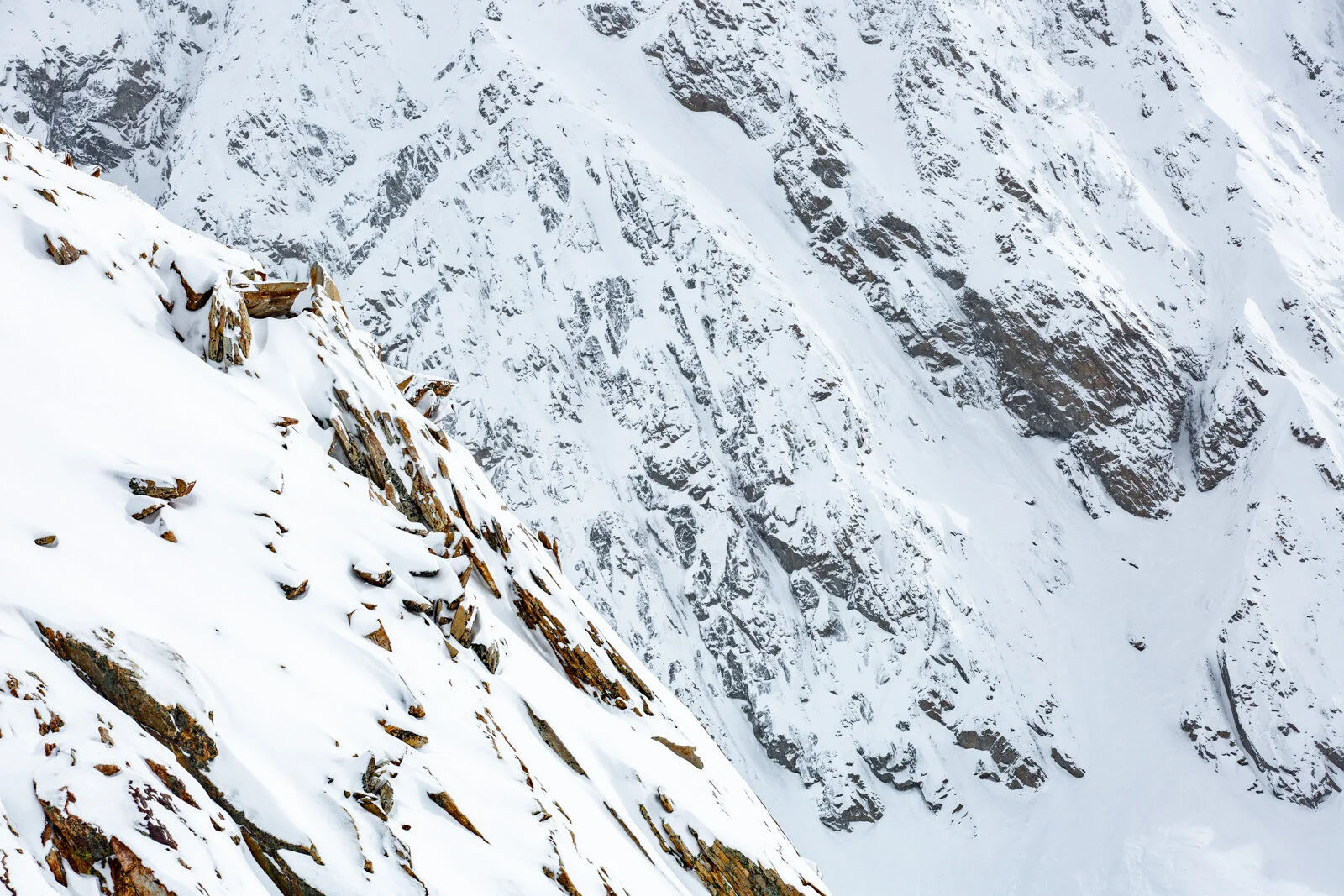 2019_PioneerYurt_SeanRyan-0351.jpg