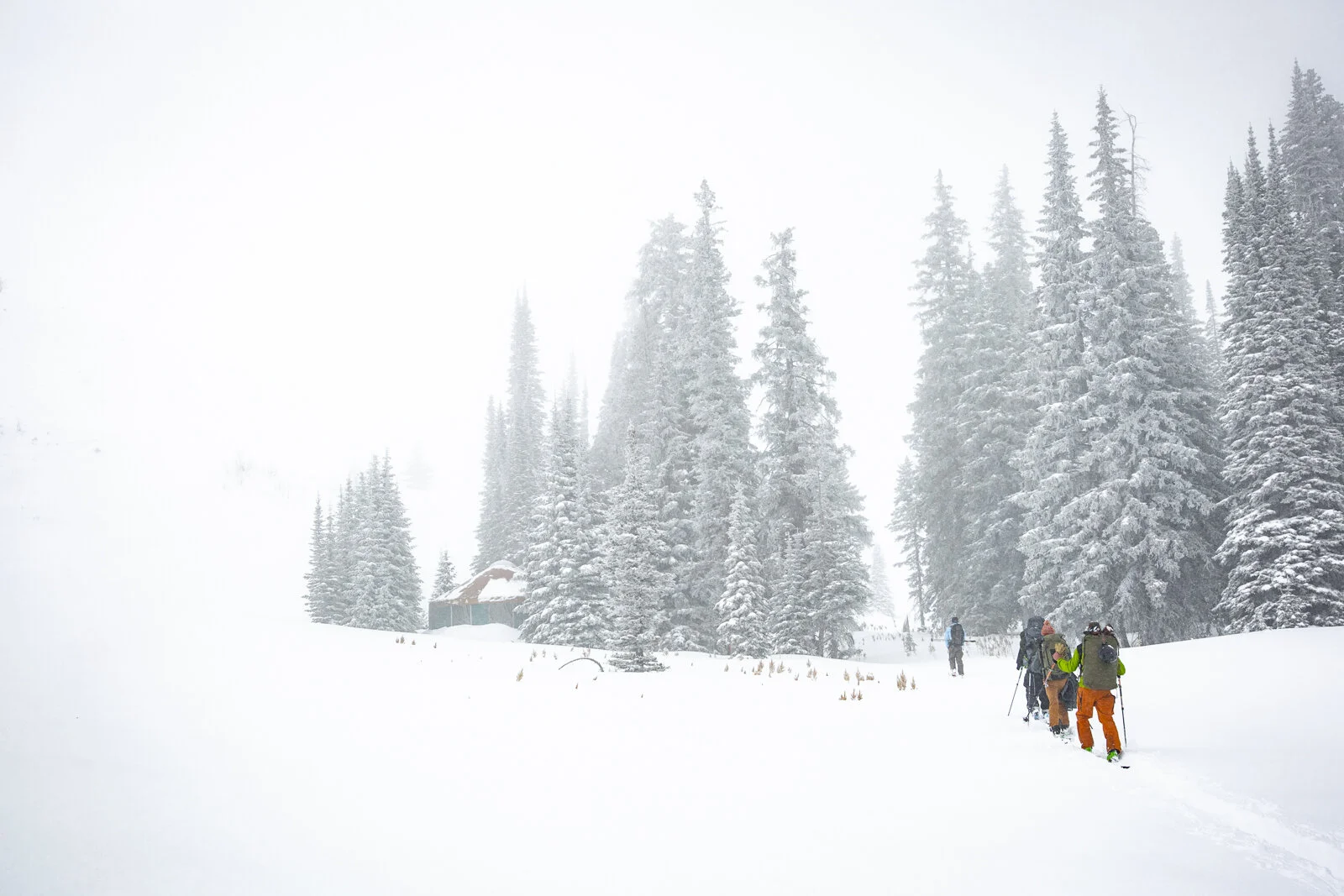 2019_PioneerYurt_SeanRyan-9512.jpg