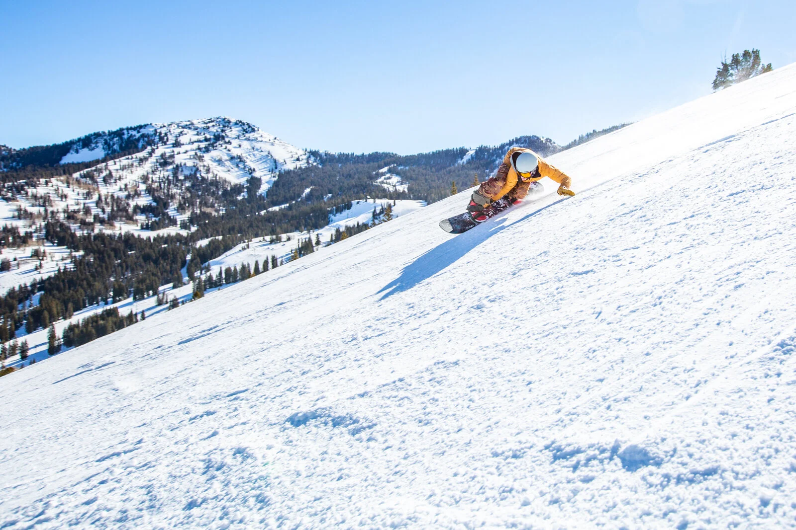 2019_SkiUtah_Brighton_SeanRyan-9064.jpg