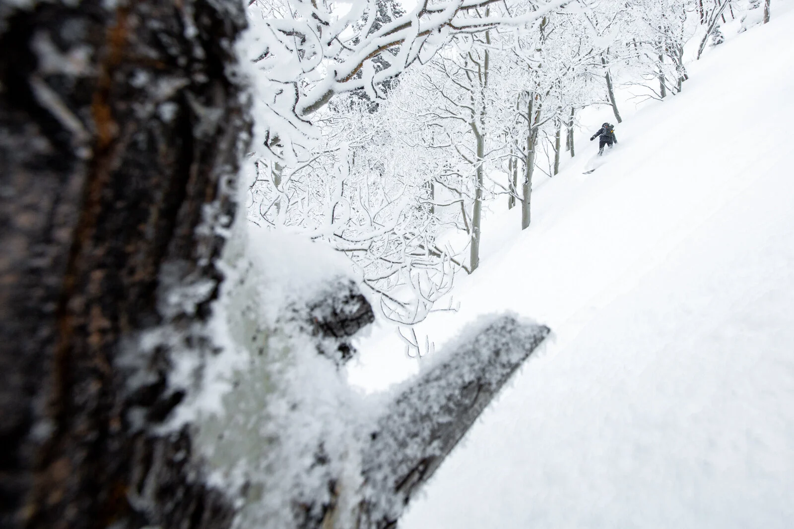 2019_SkiUtah_3_15_SeanRyan-0555.jpg
