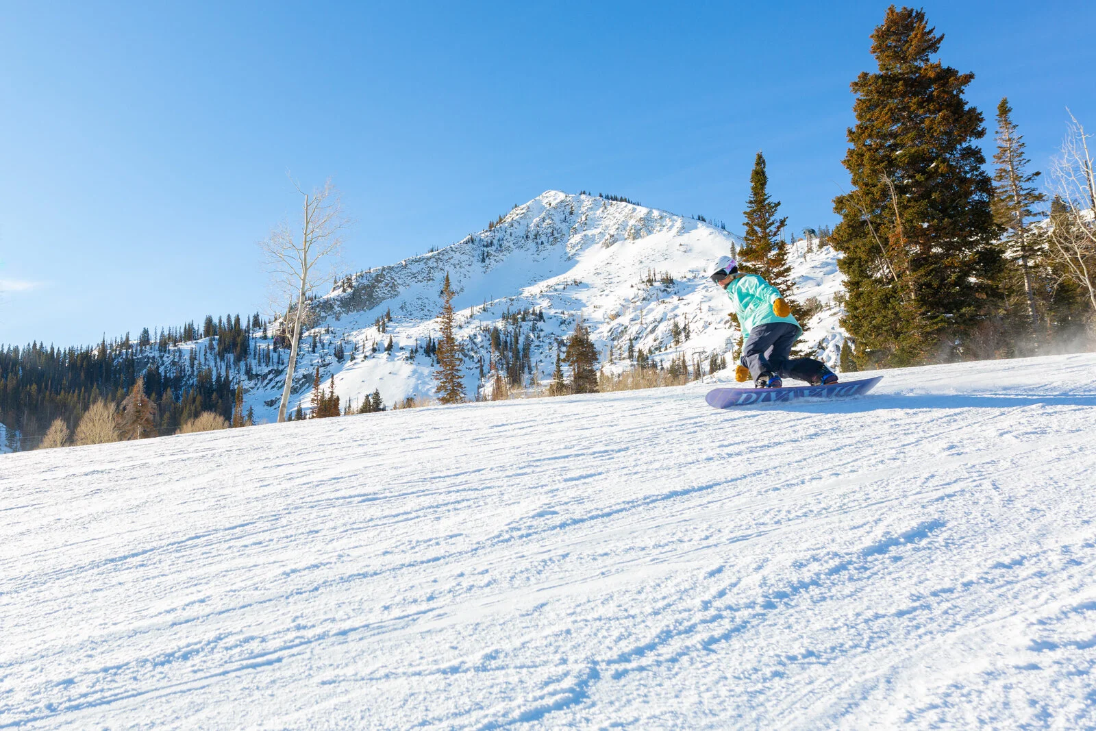 2020_BrightonSkiUtah_SeanRyan-1469.jpg
