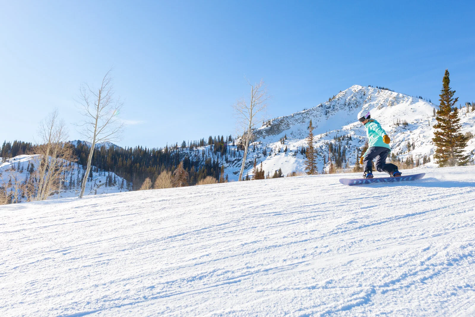 2020_BrightonSkiUtah_SeanRyan-1470.jpg