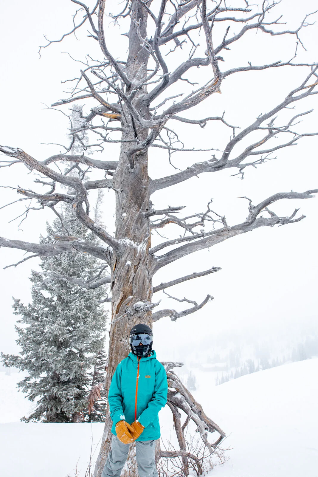2021_SkiUtah_Passport_SeanRyan-4733.jpg