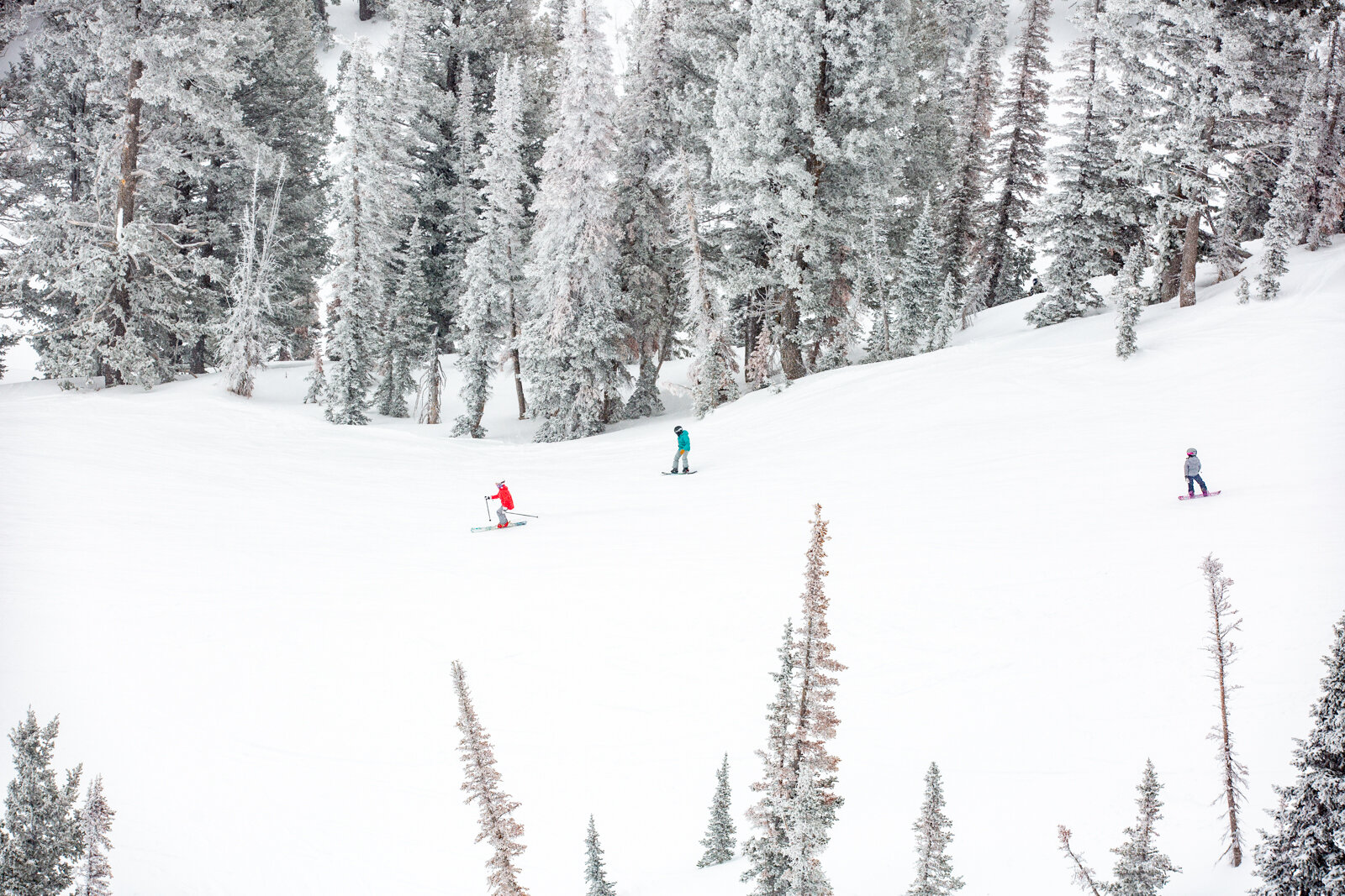2021_SkiUtah_Passport_SeanRyan-5276.jpg