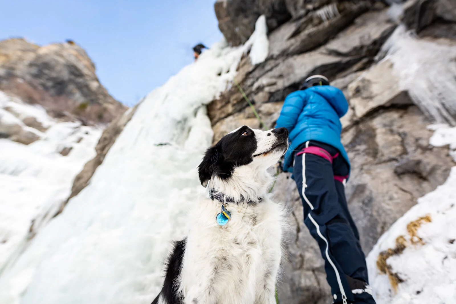 2021_IceClimbing_Provo_SeanRyan-5913.jpg