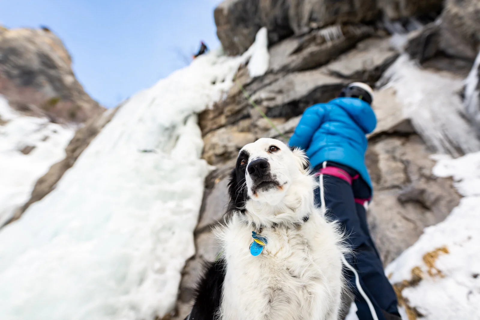 2021_IceClimbing_Provo_SeanRyan-5923.jpg