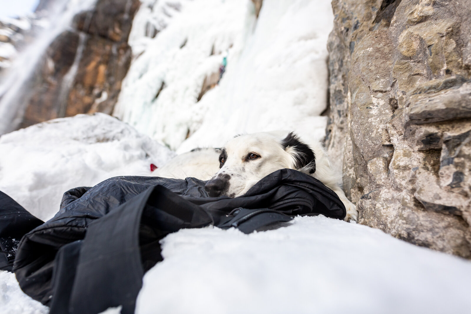 2021_IceClimbing_Provo_SeanRyan-6072.jpg
