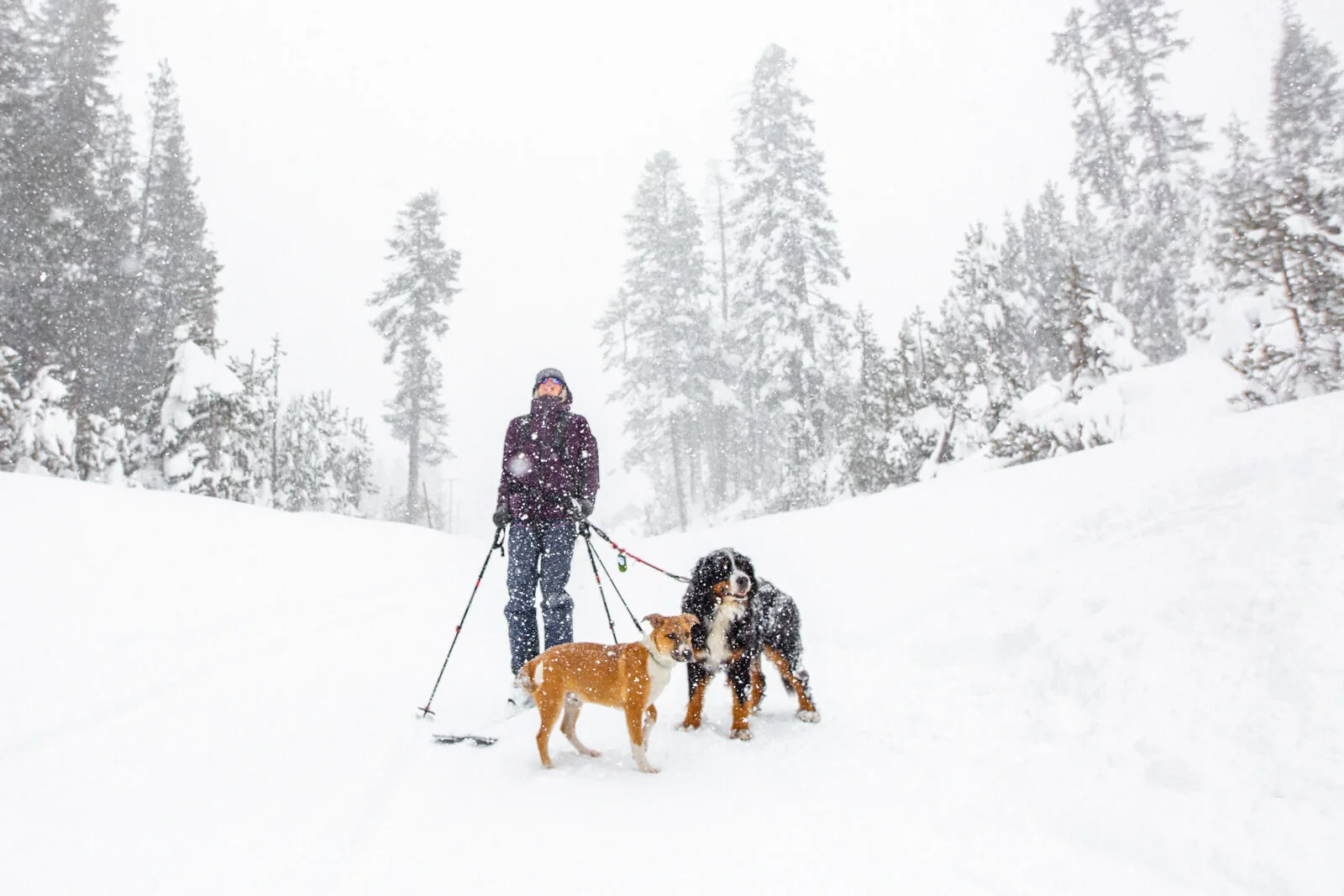 2020_TahoeBirthday_SeanRyan-6081.jpg