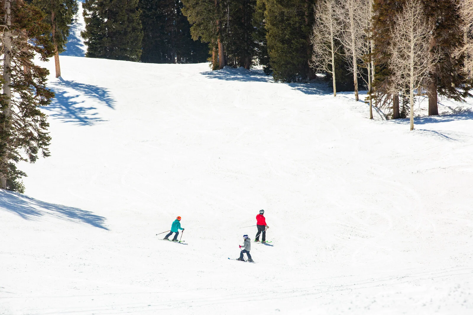 2021_SkiUtah_SkiSchool_SeanRyan-7023.jpg